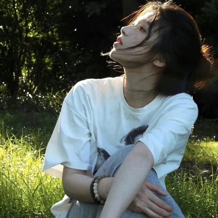 美国派:索爱天书